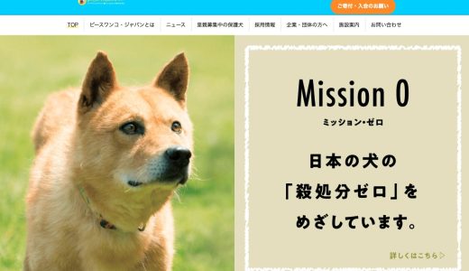 捨て犬を殺処分から、寄付で救う！動物愛護団体の募金先3選