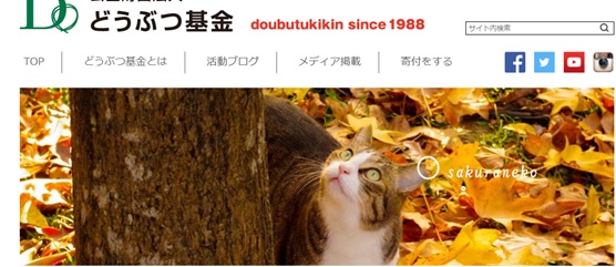 うちのこ肖像画 黒背景 売り上げの一部を地元の犬猫保護