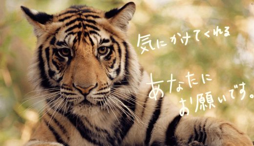 WWFが保護活動した絶滅危惧種（レッドリスト選定種）は？世界や日本の野生生物を救う方法