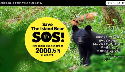 日本自然保護協会の評判や口コミは？寄付先として、信頼できるかをチェック
