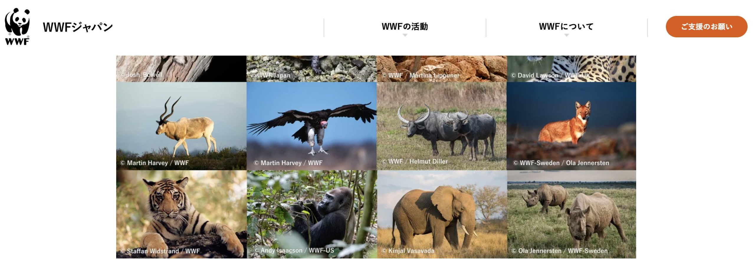 3ea56e473c09d41b8881fd12db4f77